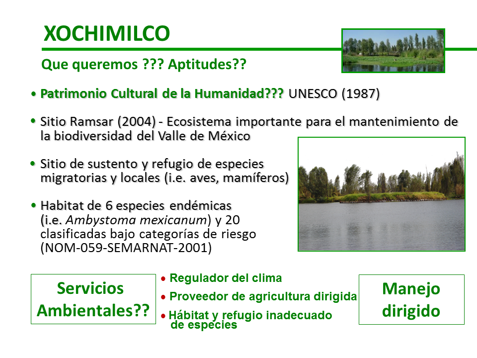 Diagnóstico Ambiental Y Evaluación Del Riesgo Ecológico De La ...